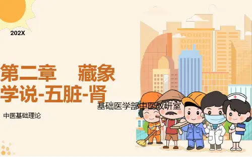 藏象五脏肾-中医基础理论教学课件