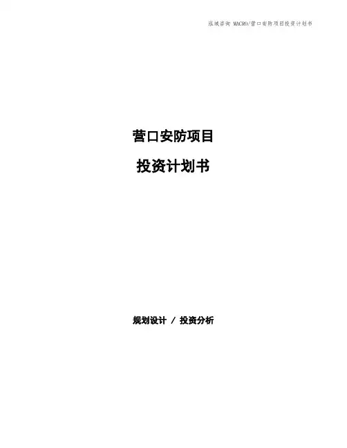 营口安防项目投资计划书