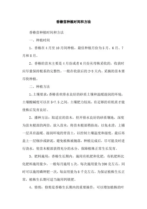 香椿苗种植时间和方法