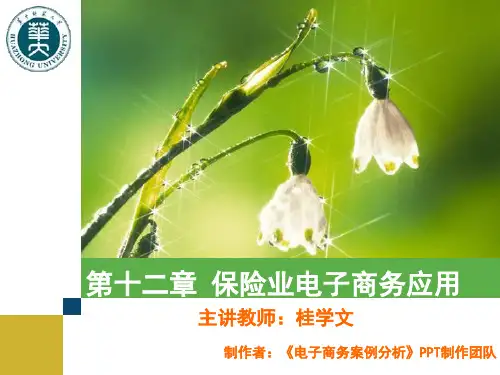 电子商务案例第十二章保险业电子商务