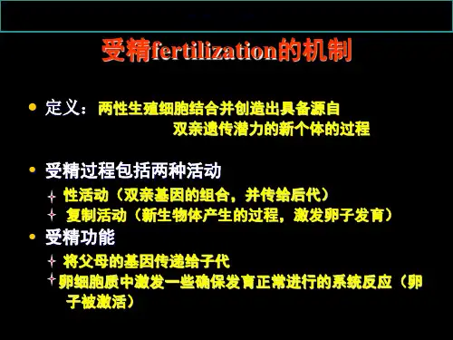 受精fertilization的机制