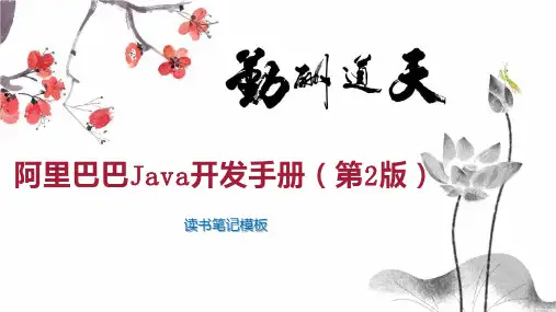 阿里巴巴Java开发手册(第2版)