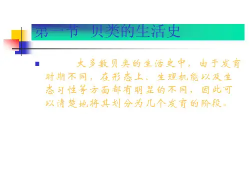 精选贝类的苗种生产