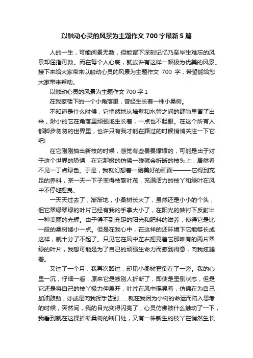 以触动心灵的风景为主题作文700字最新5篇