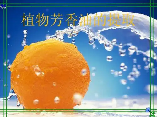 植物芳香油的提取