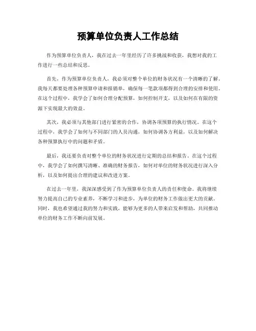 预算单位负责人工作总结