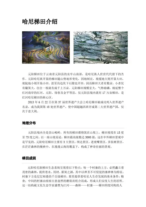哈尼梯田介绍