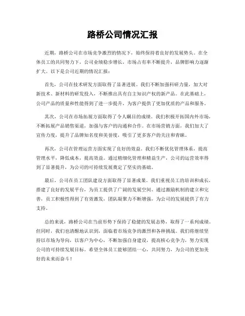 路桥公司情况汇报
