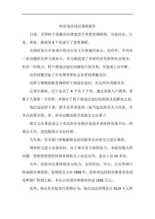 村官违法违纪调查报告