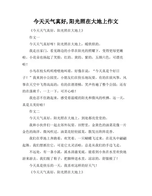 今天天气真好,阳光照在大地上作文
