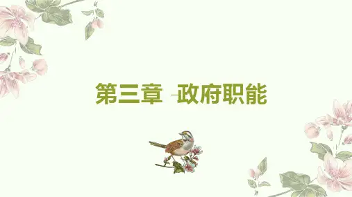3 第三章—政府职能