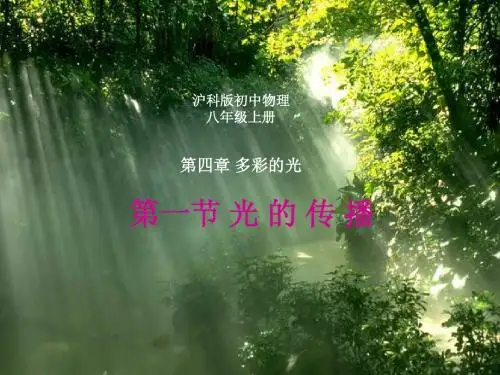 沪教版上海科技版八年级物理 光的传播  PPT课件