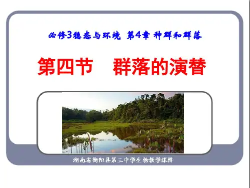 人教版高中生物必修三第四章第四节 群落的演替(24张PPT)