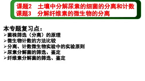 46 尿素分解菌、纤维素分解菌的筛选和分离-【一轮全考点】备战2022年高考生物一轮复习专题课件