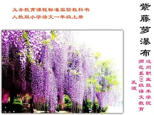 《紫藤萝瀑布》PPT PPT课件