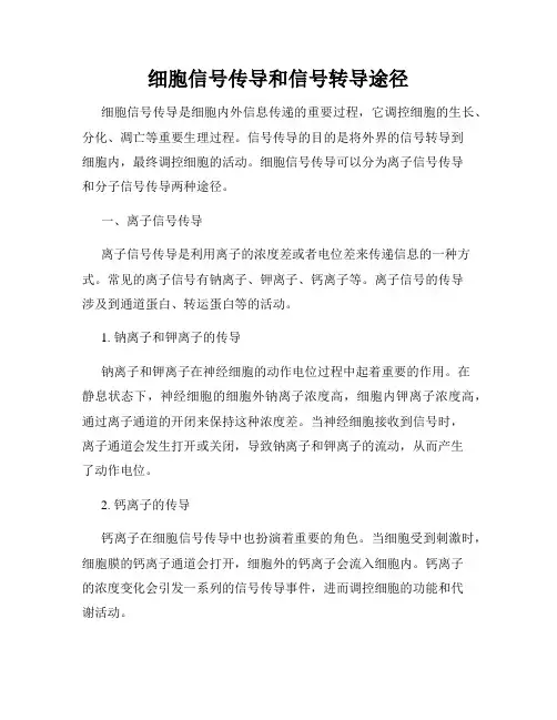 细胞信号传导和信号转导途径