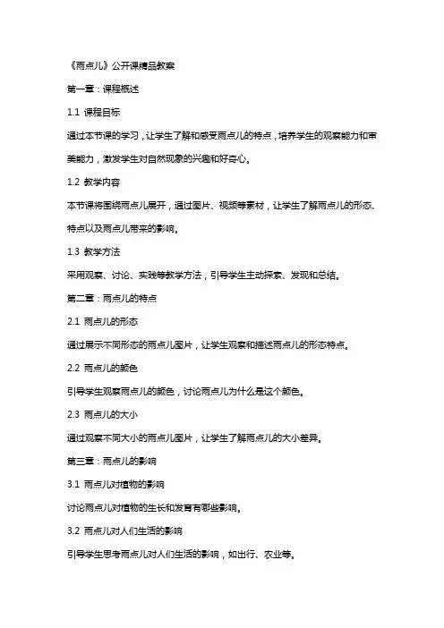 《雨点儿》公开课教案
