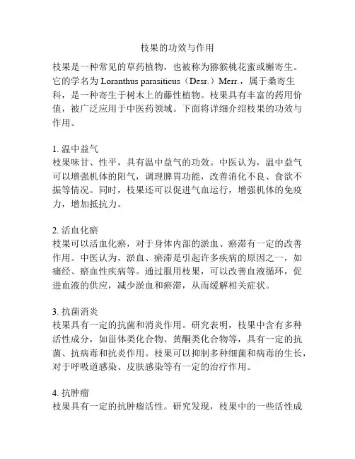 枝果的功效与作用