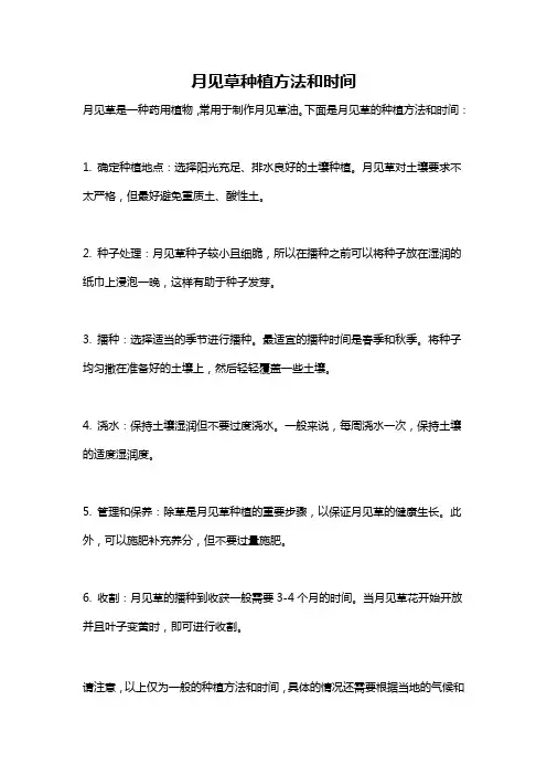 月见草种植方法和时间