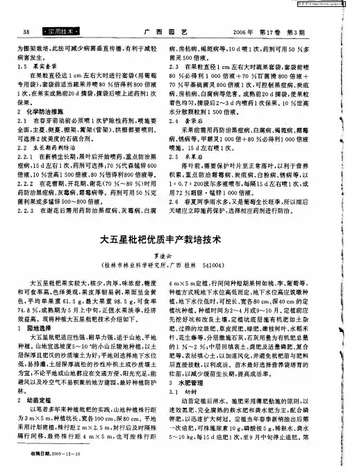 大五星枇杷优质丰产栽培技术