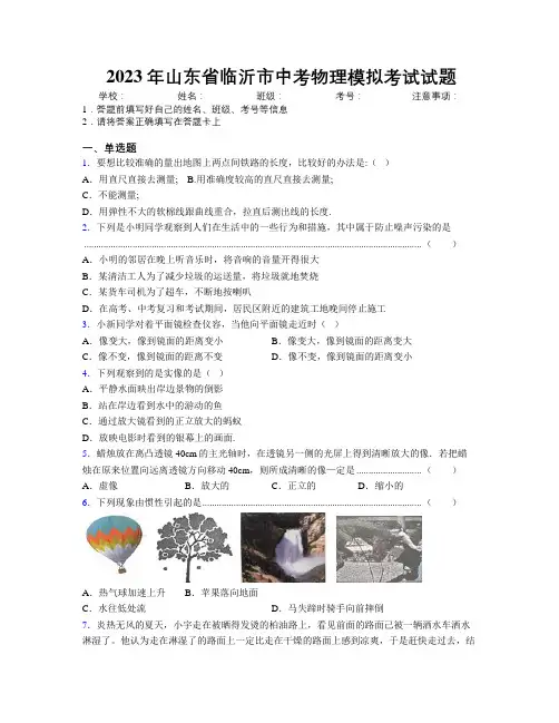 2023年山东省临沂市中考物理模拟考试试题及解析