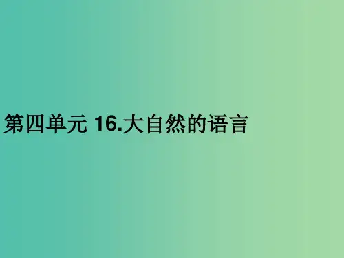 八年级语文上册 第四单元 16.大自然的语言习题课件 新人教版