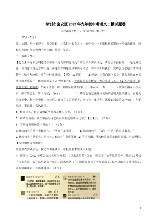 深圳市宝安区2023年九年级中考语文二模试题卷附答案解析