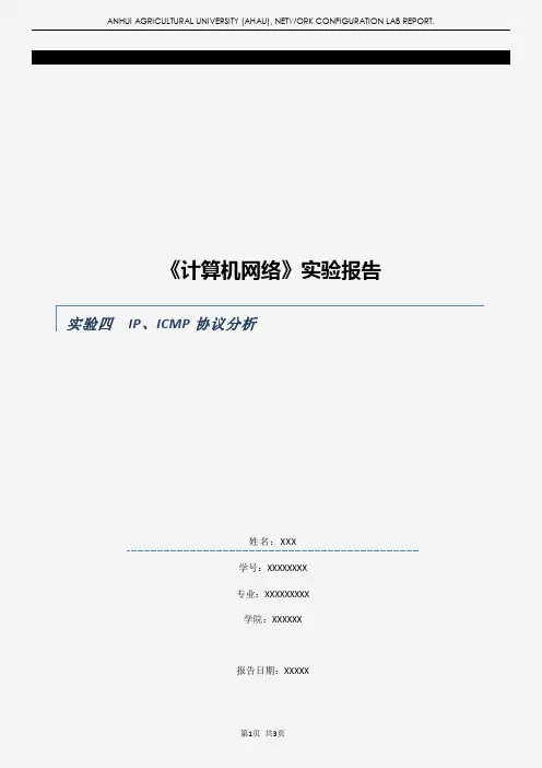 实验04 - IP、ICMP协议分析