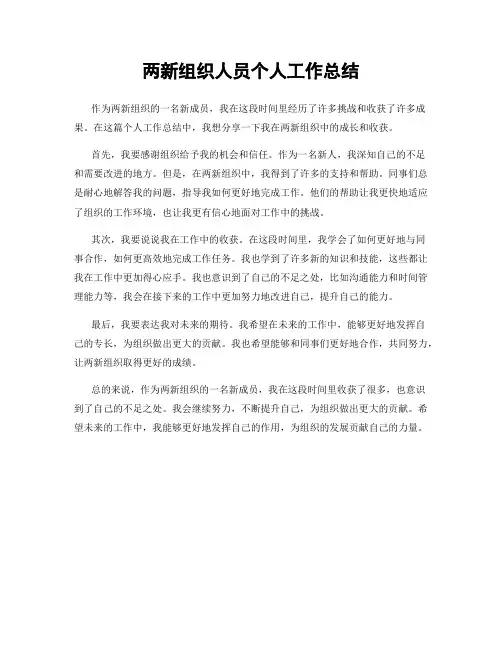 两新组织人员个人工作总结