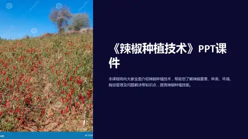 《辣椒种植技术》课件