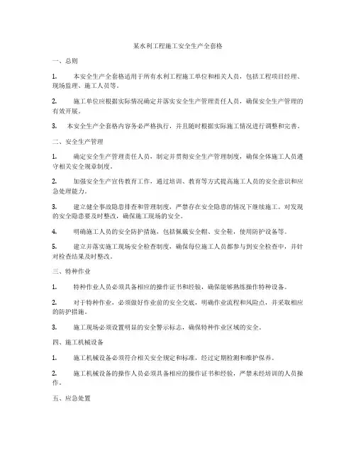 某水利工程施工安全生产全套格