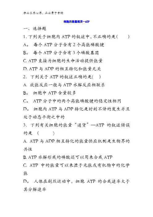 高中生物 5.2细胞的能量通货-ATP 练习1含答案