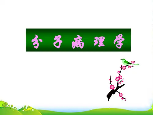 分子病理学-课件