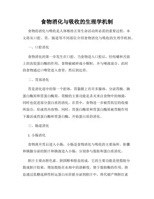 食物消化与吸收的生理学机制