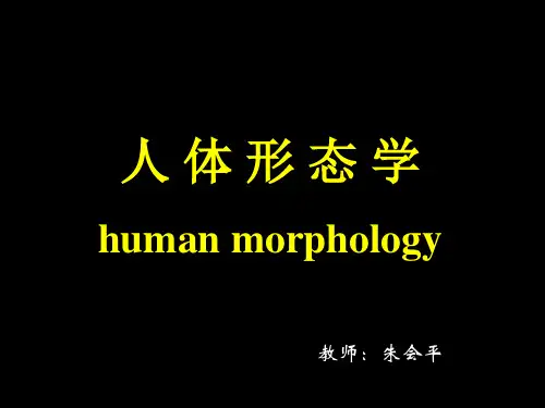 人体形态学——绪论