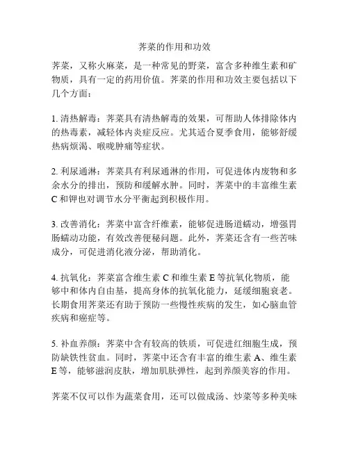 荠菜的作用和功效