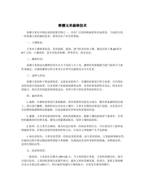 春播玉米栽培技术