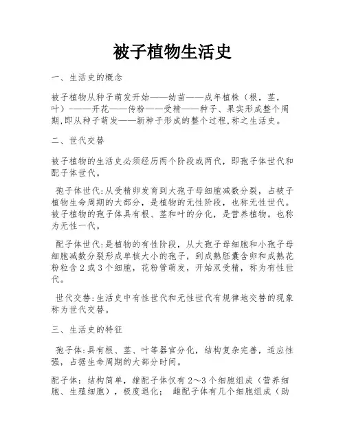 被子植物生活史