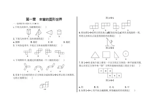 《第一章丰富的图形世界》单元检测试卷含答案