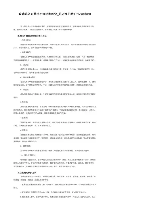 玫瑰花怎么养才不会枯萎的快_花店鲜花养护技巧和知识