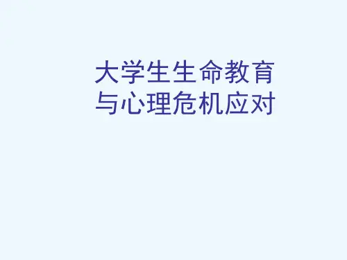 第五章认知调整