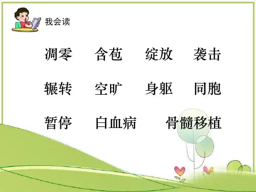 人教版四年级上册语文22课跨越海峡的生命桥课件