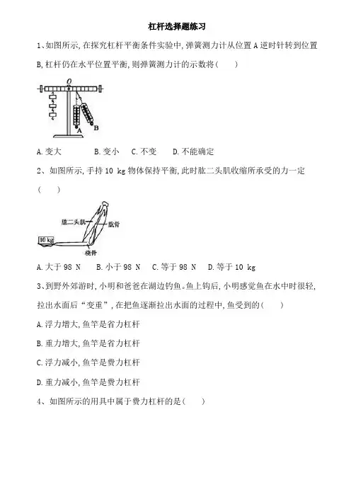 杠杆选择题练习(附答案解析)