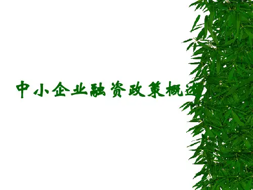 中小企业融资政策PPT课件