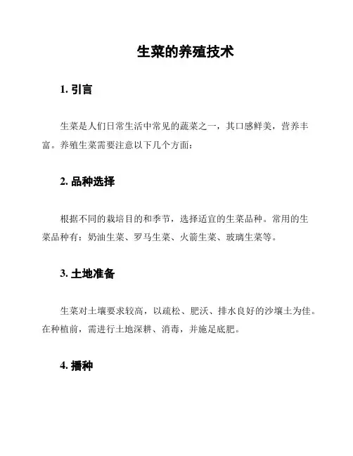 生菜的养殖技术