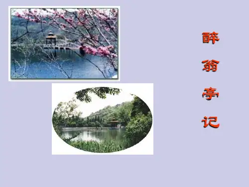 28《醉翁亭记》(上课用)分析