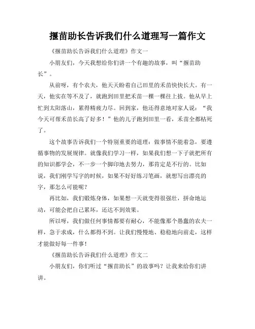 揠苗助长告诉我们什么道理写一篇作文