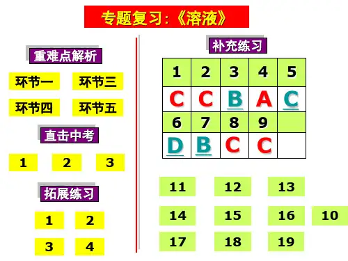 中考化学专题复习溶液(共48张PPT)