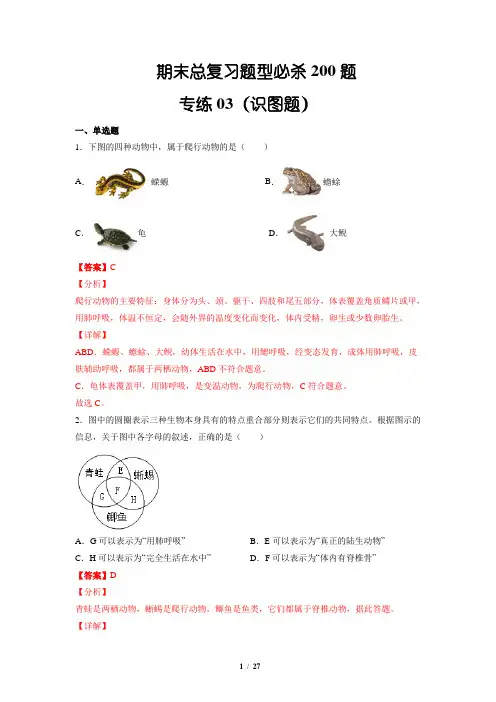 (识图题)八年级生物上学期期末题型必杀16题(人教版)(解析版)