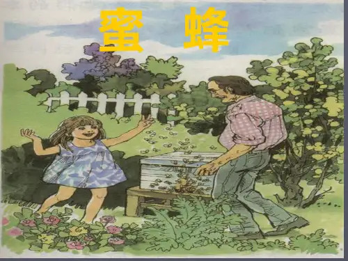 14《蜜蜂》ppt课件1